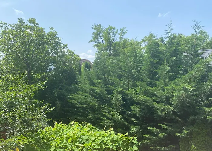 Nyugalom Szigete Appartement